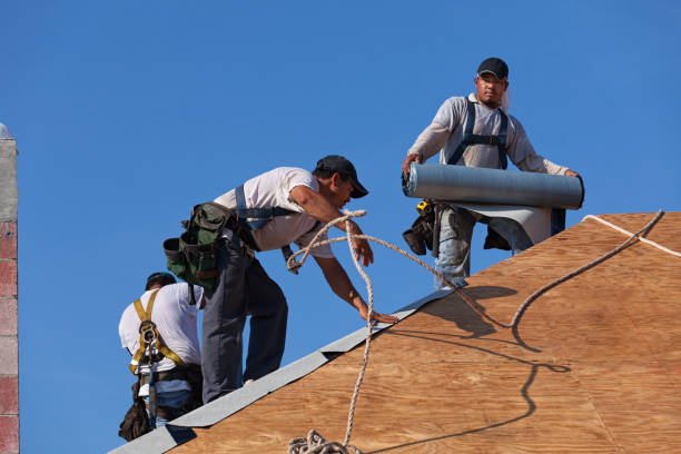 Best New Roof Installation  in Riverside, IA